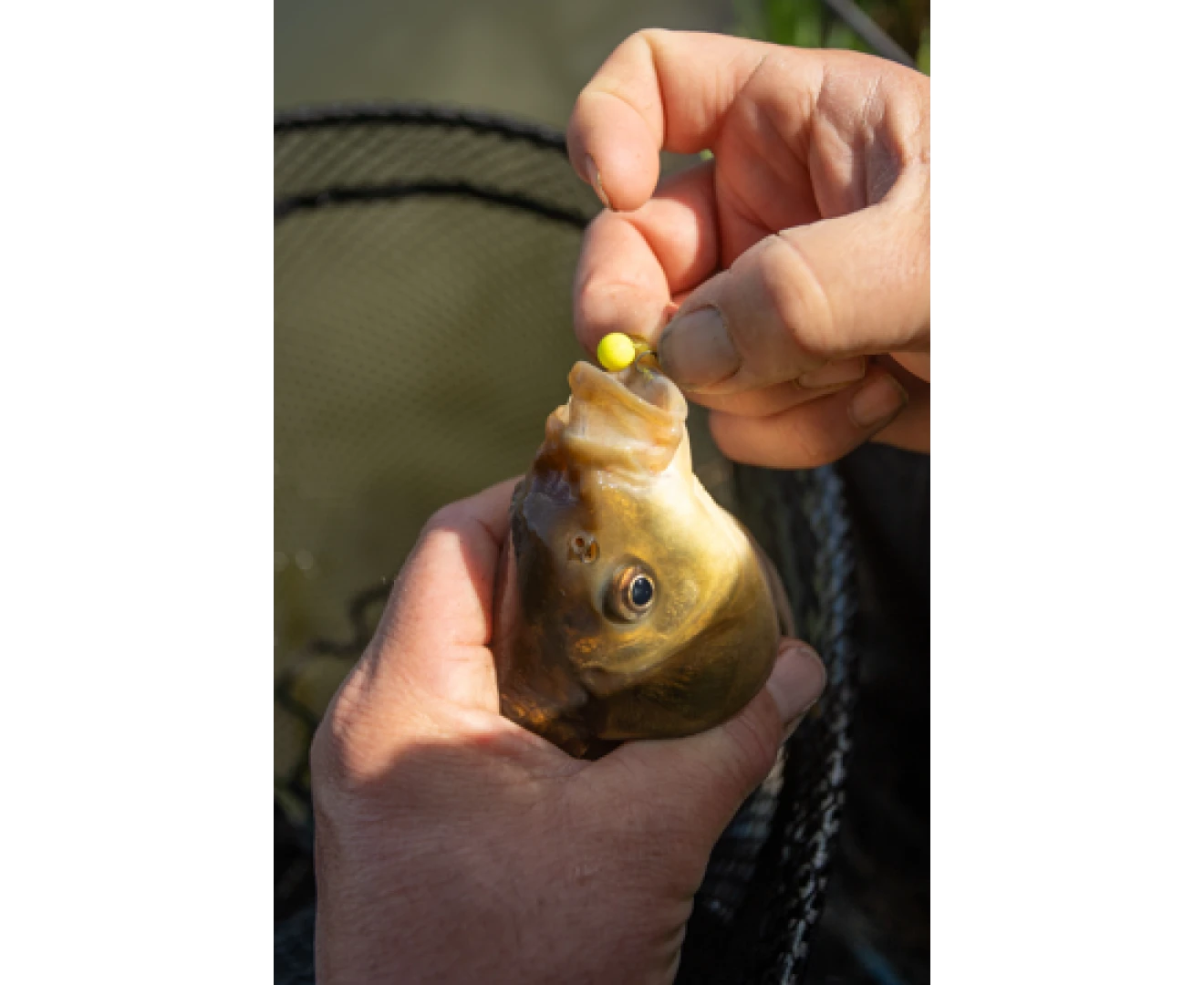 Sonubaits Spike'um Wafter Banoffee
