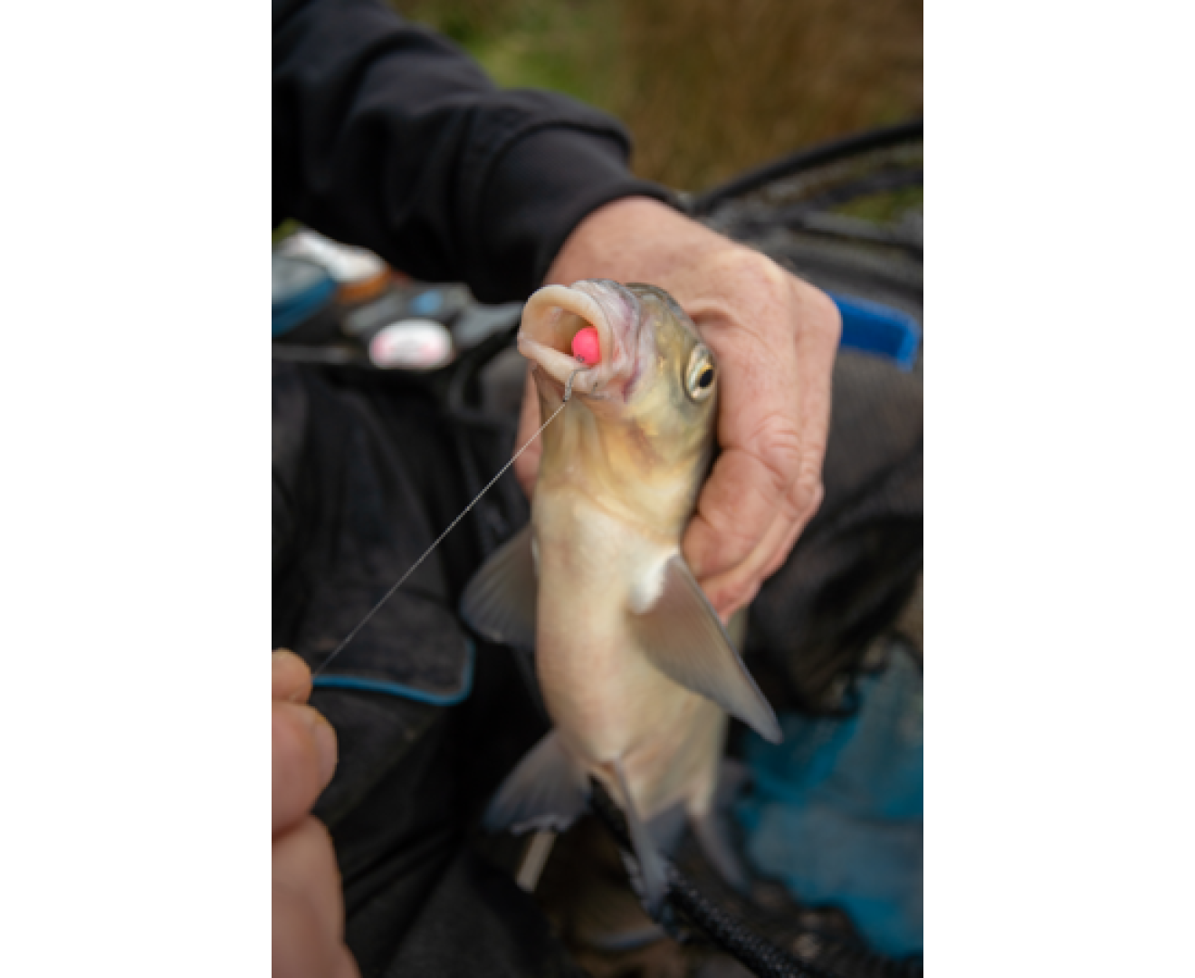 Sonubaits Spike'um Wafter Fluoro