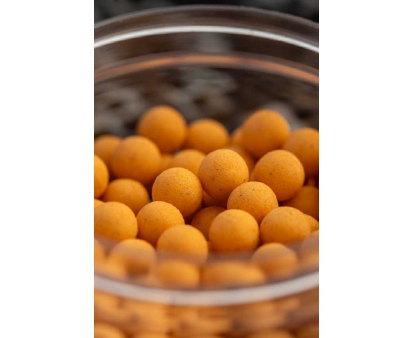 Sonubaits Spike'um Wafter Salted Caramel