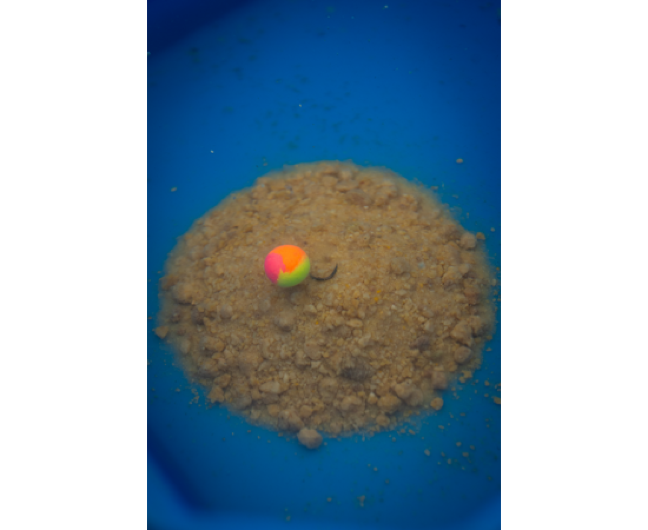 Sonubaits Spike'um Wafter Specials