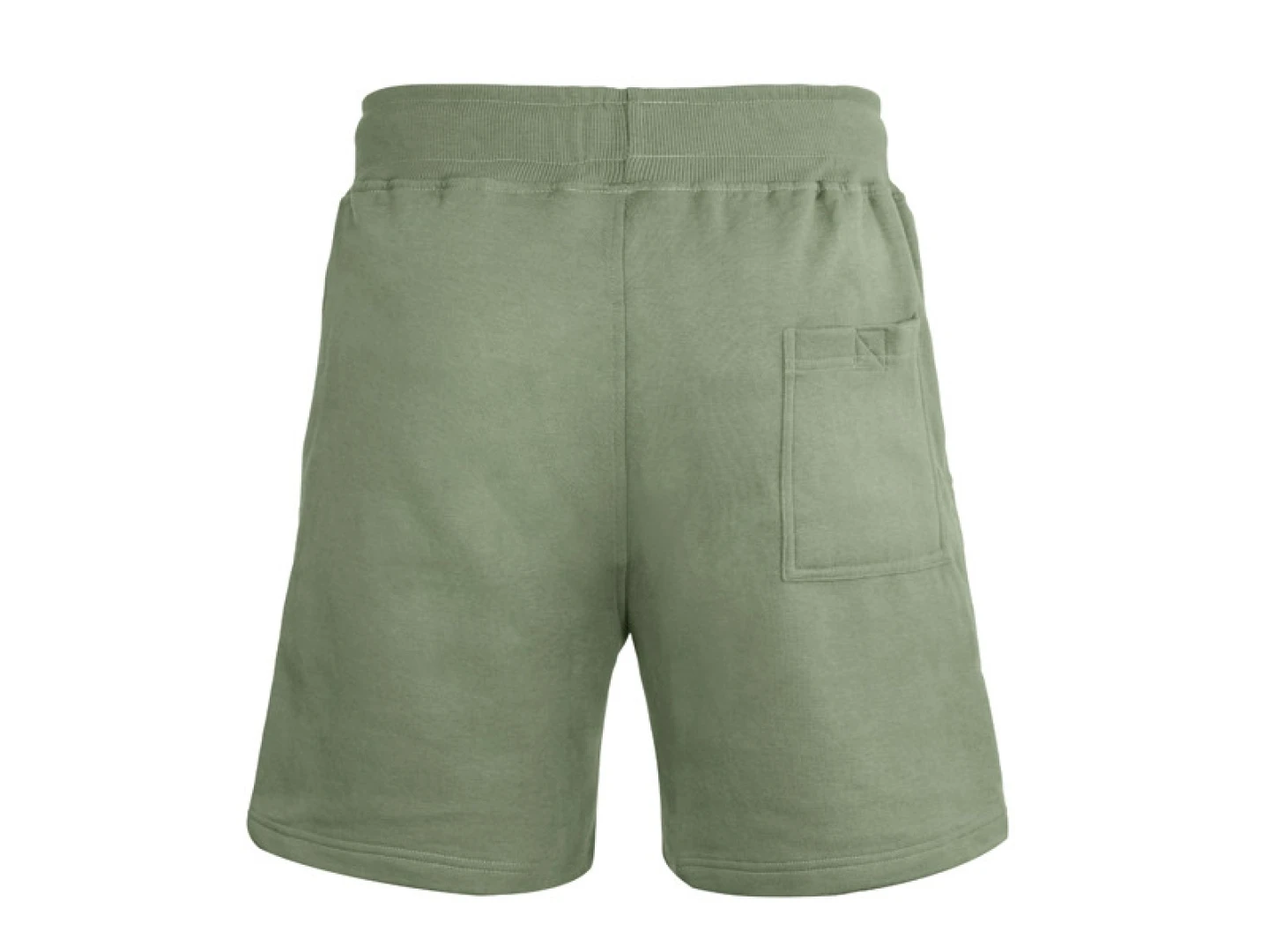 Delphin LOGOS Shorts