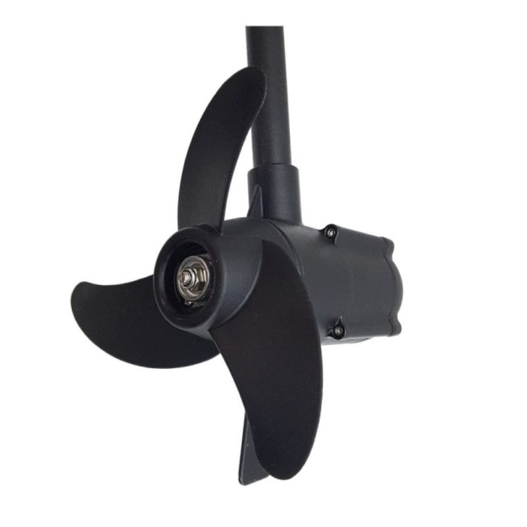 Haswing PROTRUAR 1.0 LED V2 - Elektrischer Motor