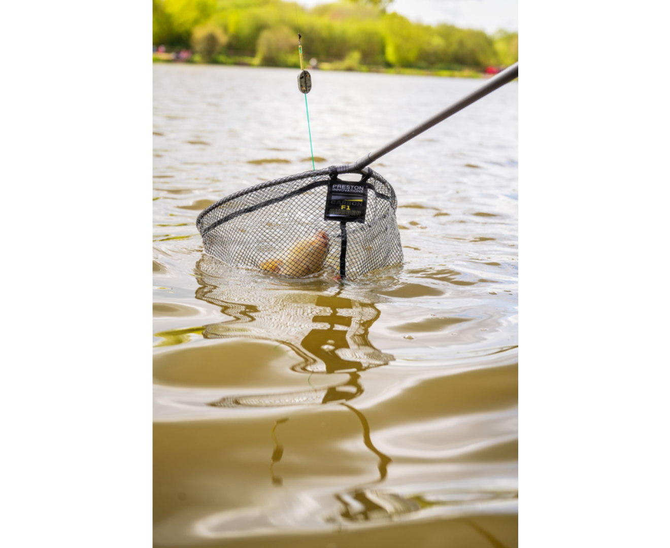 Preston Innovations Carbon F1 Latex Landing Net