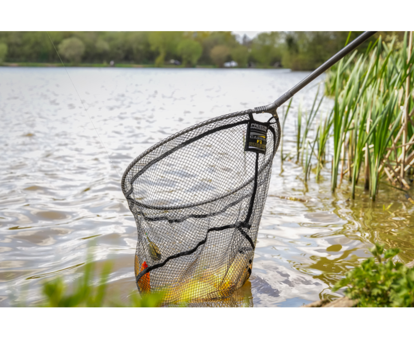 Preston Innovations Carbon F1 Latex Landing Net
