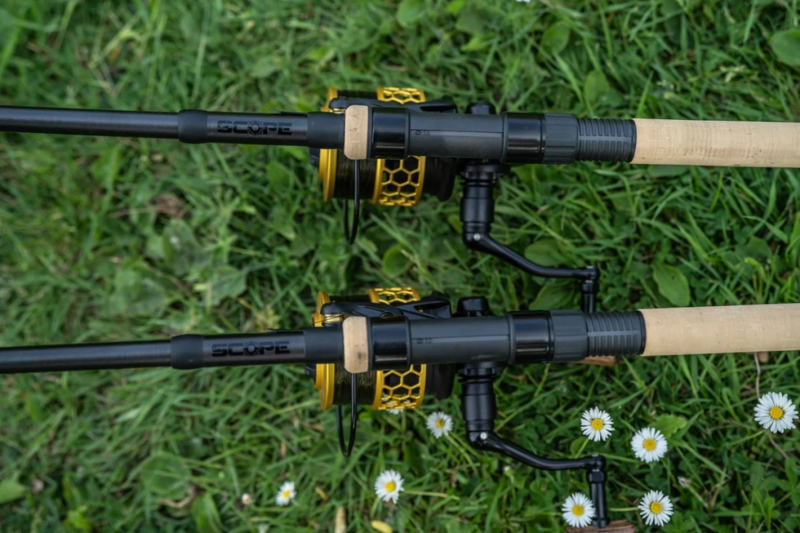 Nash Scope - Cork