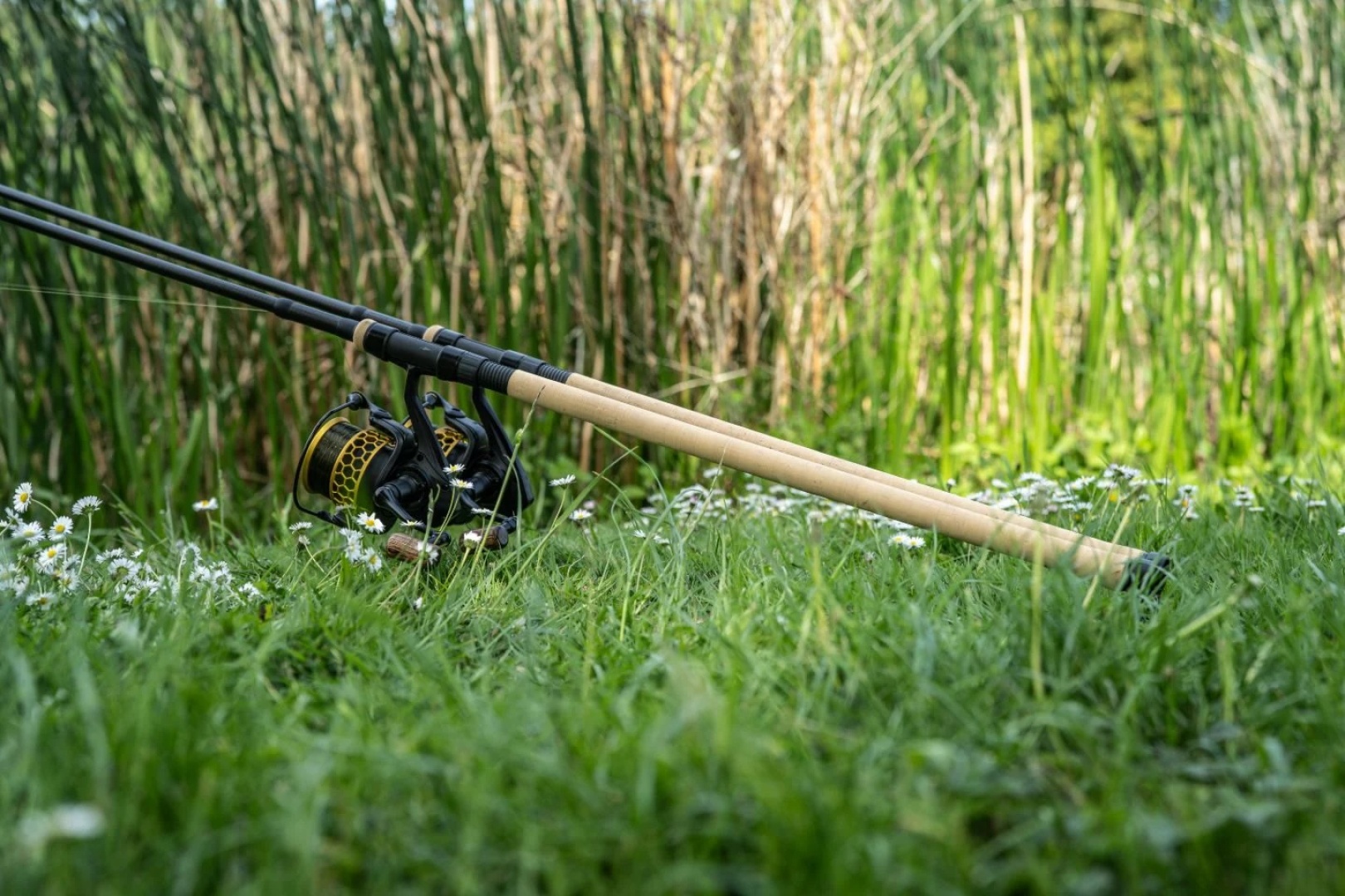 Nash Scope - Cork