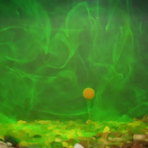 Kiana Carp Goo Corn Twist Smoke