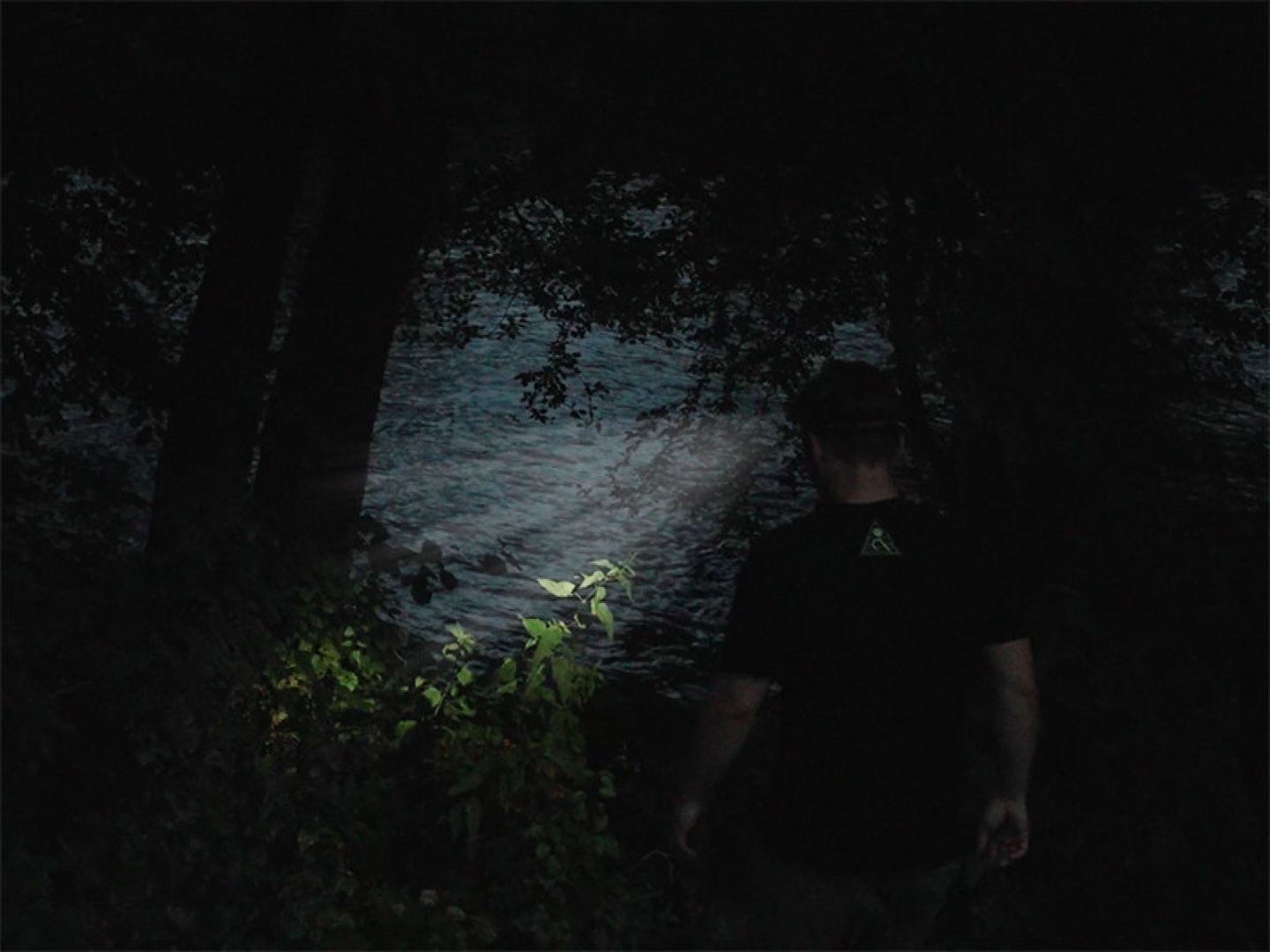 Delphin LUMIS Headlamp