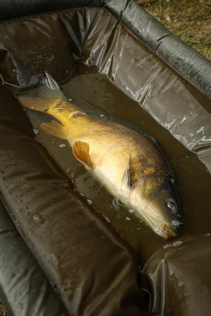 Fox Carpmaster Welded Cradle