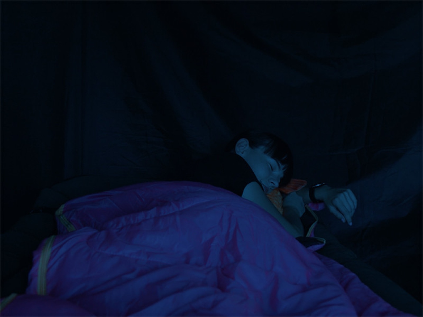 Delphin Queen Sleeping Bag