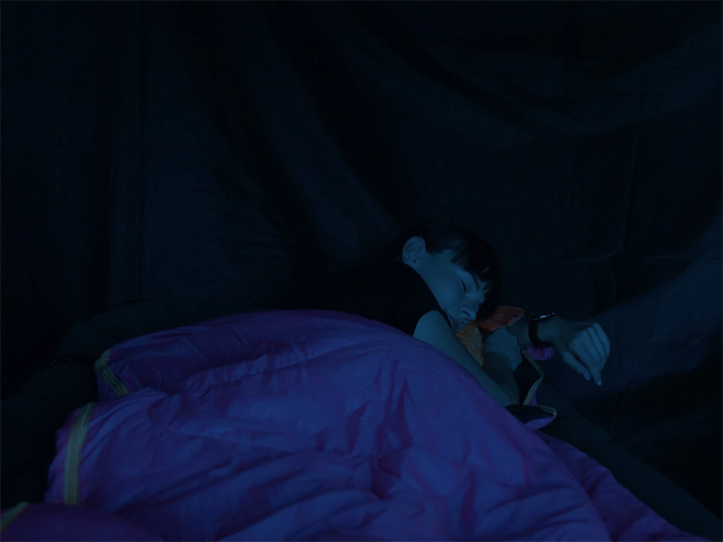 Delphin Queen Sleeping Bag