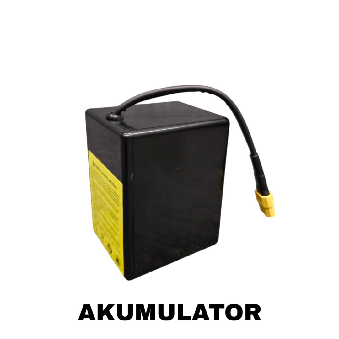 Viking Boat RS Mini PRO Carbon - (Echosounder All in One in Remote Control)