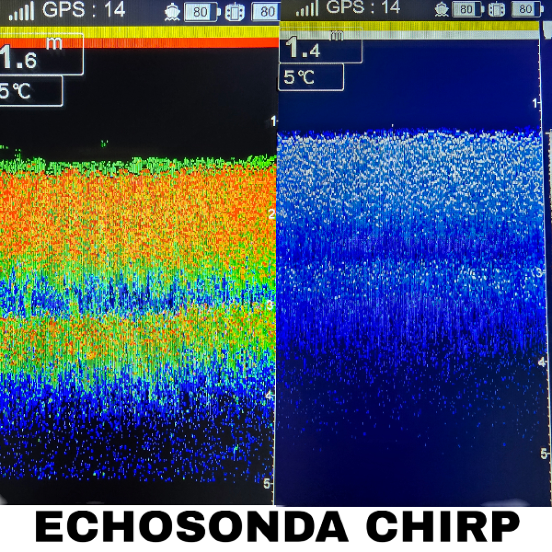 Viking Boat RS Mini PRO Carbon Red - (Echosounder All in One in the Remote)