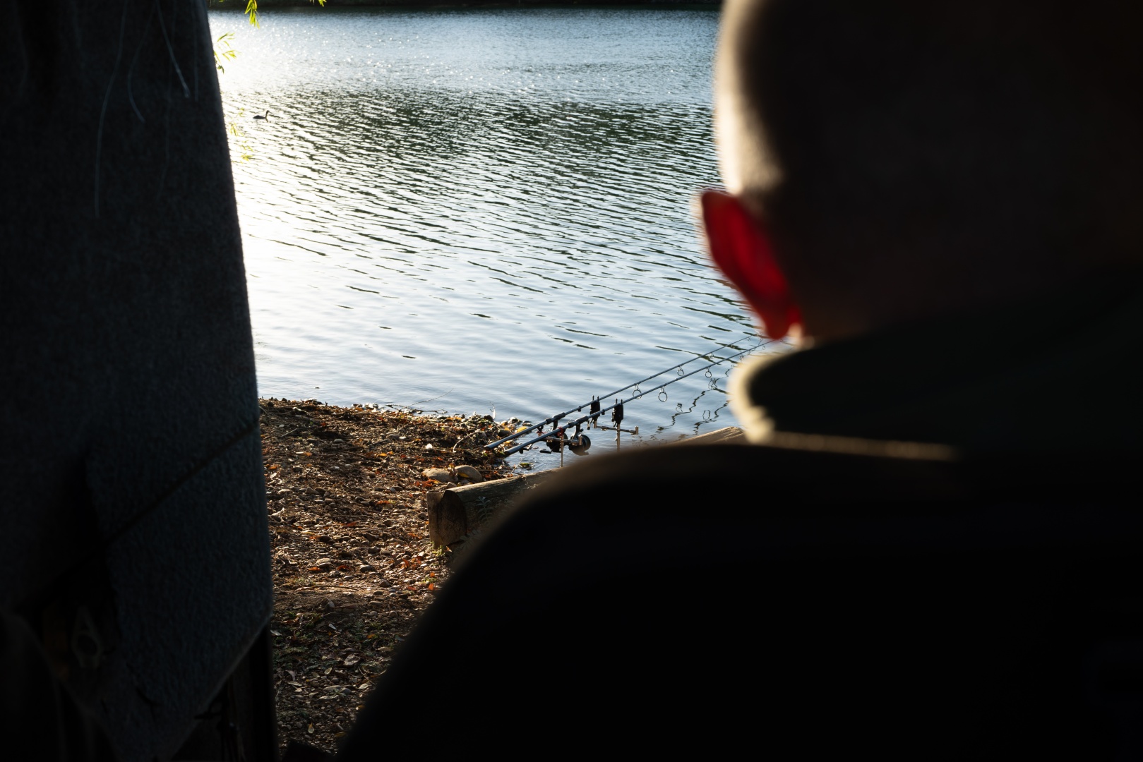 Solar SP C-TECH Combi Chair