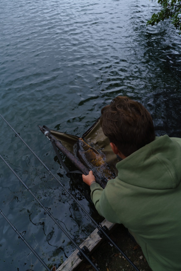 Solar SP C-TECH Retention Sling