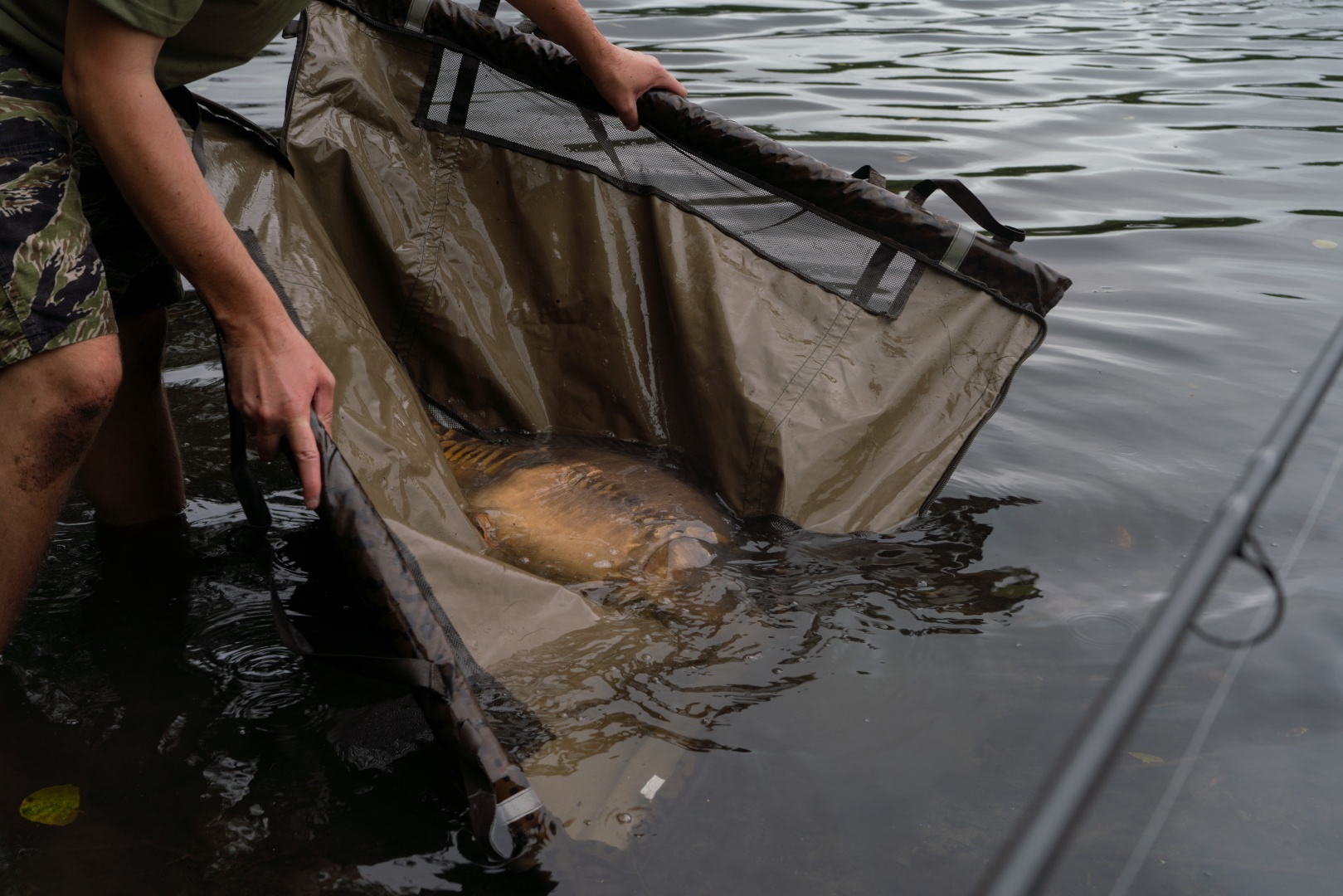 Solar SP C-TECH Retention Sling