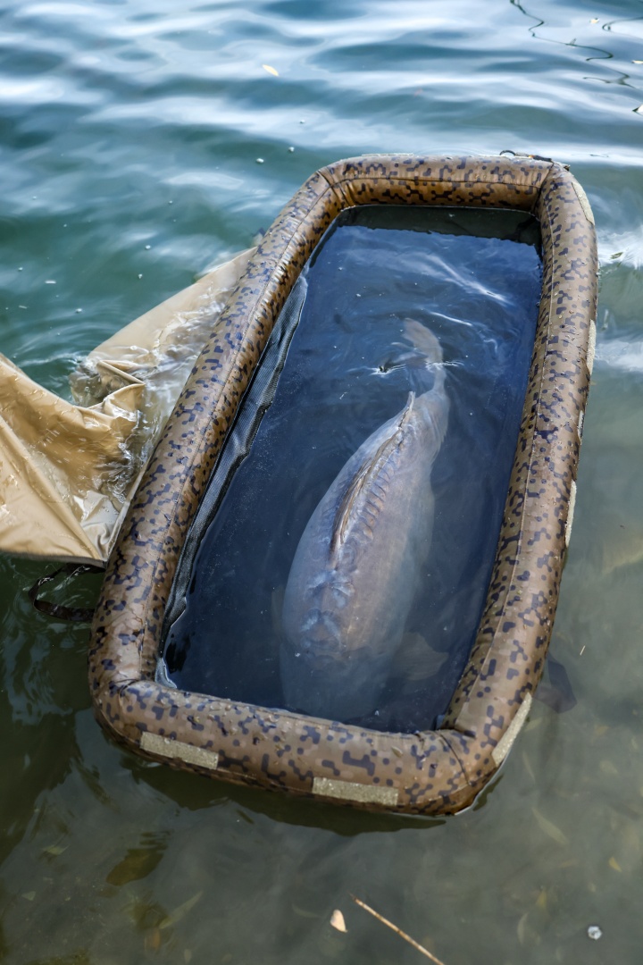 Solar SP C-TECH Floatation Cell