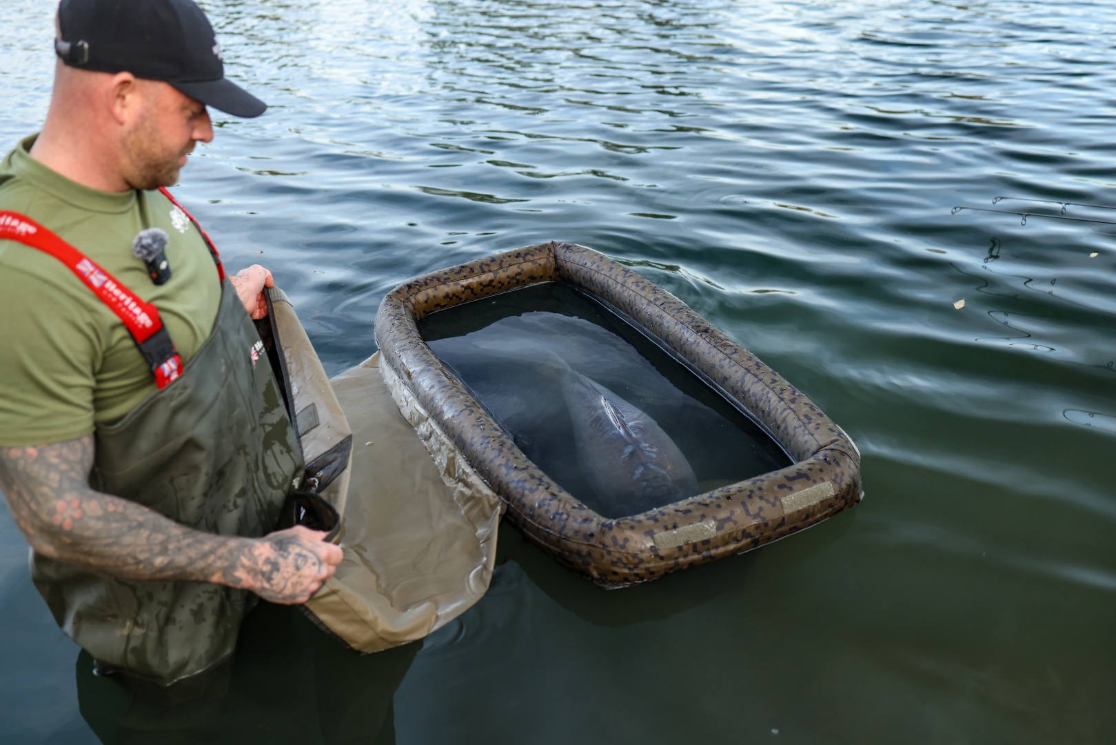 Solar SP C-TECH Floatation Cell