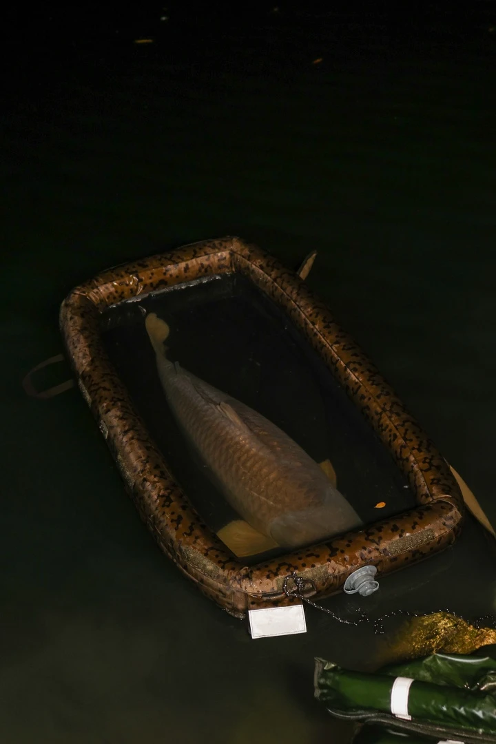 Solar SP C-TECH Floatation Cell