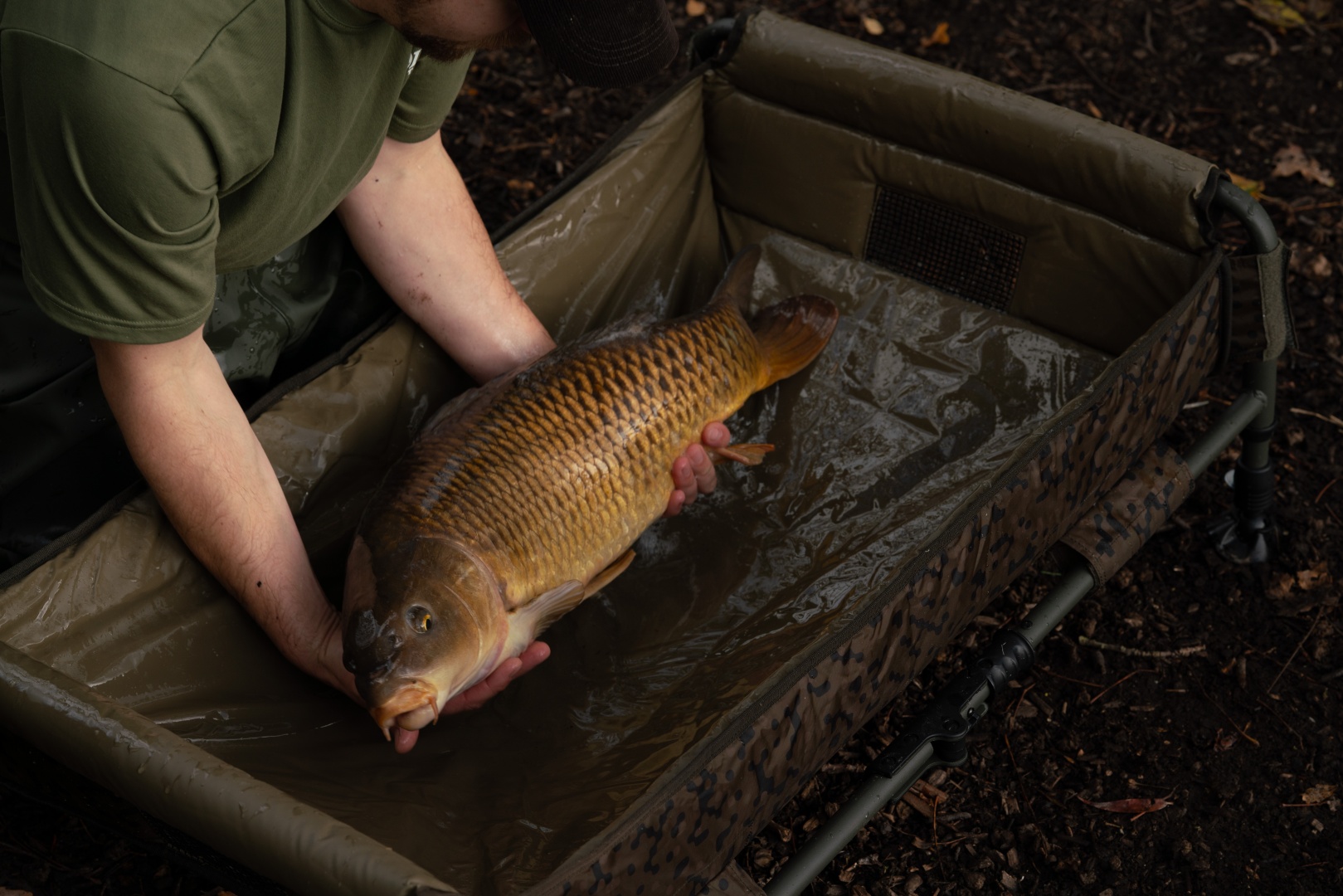 Solar SP C-TECH Quick Up Cradle