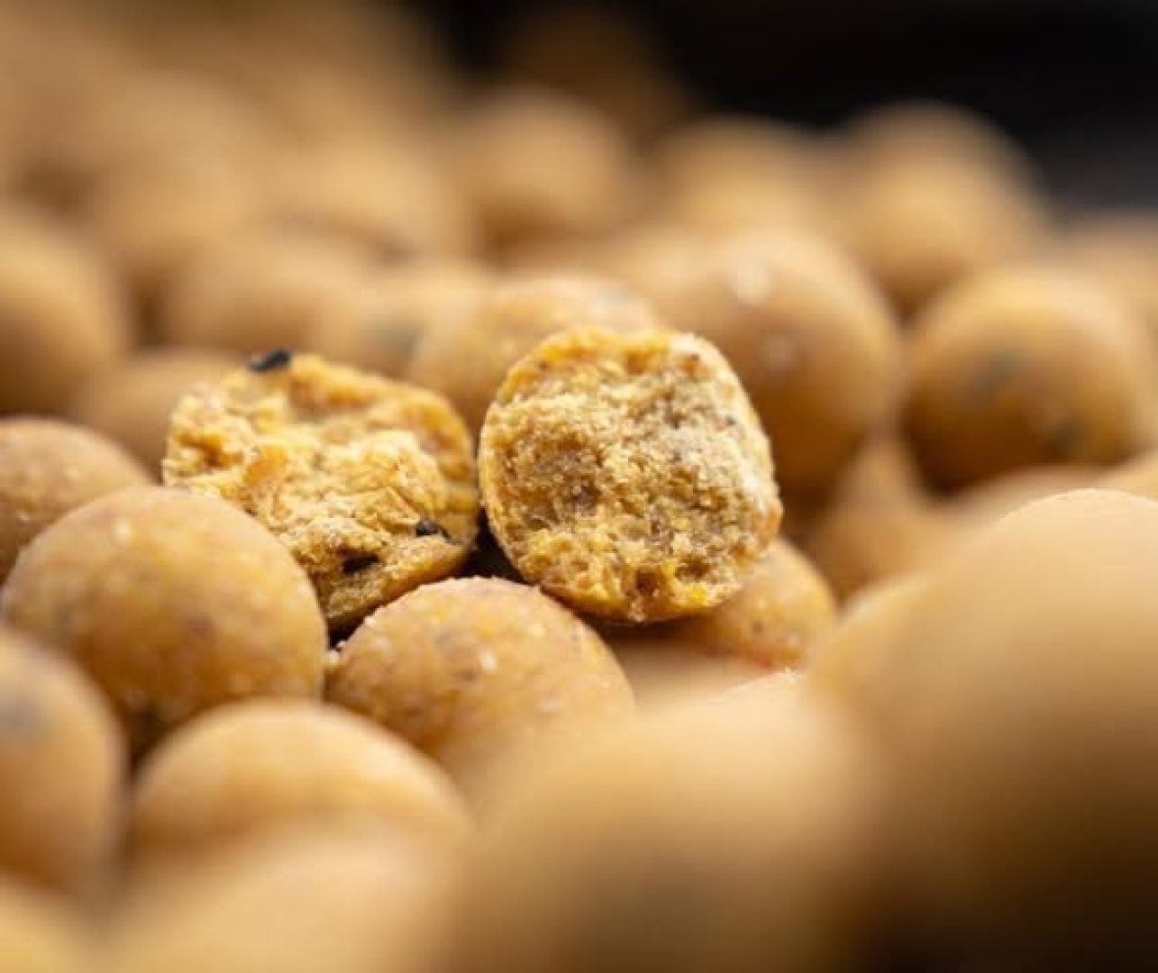 CCMoore Continental Boilies - Live System