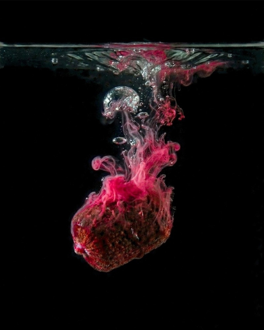 TB Baits Squid Strawberry Smoke Liquid