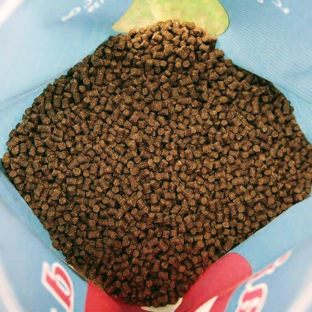 DUDI BAIT Micropellet Fish