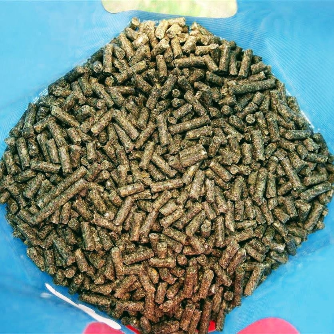 DUDI BAIT Pellet High Attract
