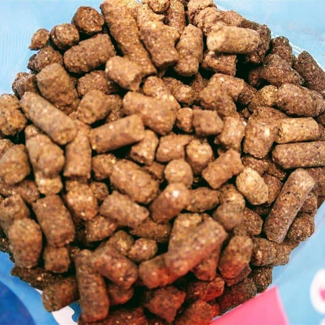 DUDI BAIT Pellet CSL