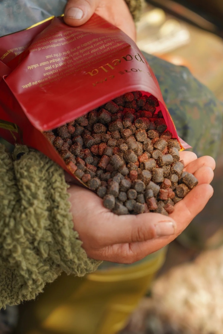 One More Cast Paella Pellet