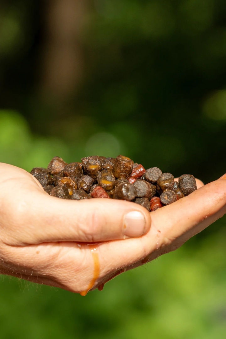 One More Cast Paella Pellet