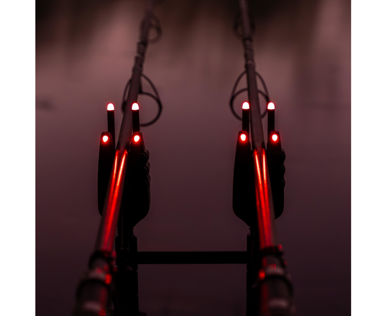 Avid Carp VTX+ Illuminated Snag Ears