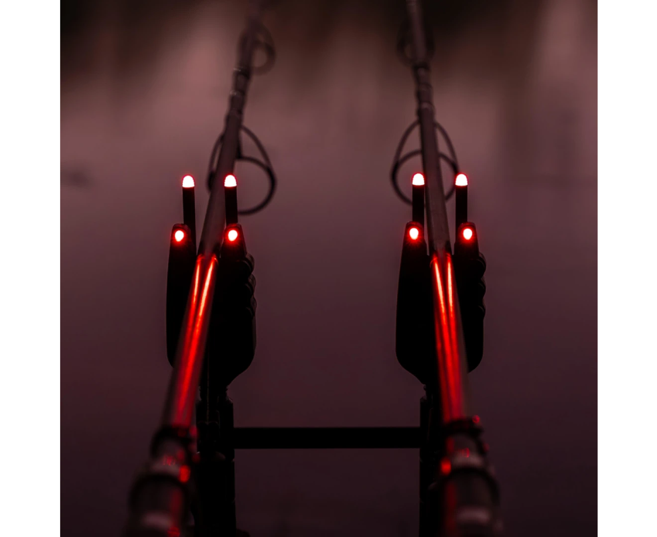 Avid Carp VTX+ Illuminated Snag Ears