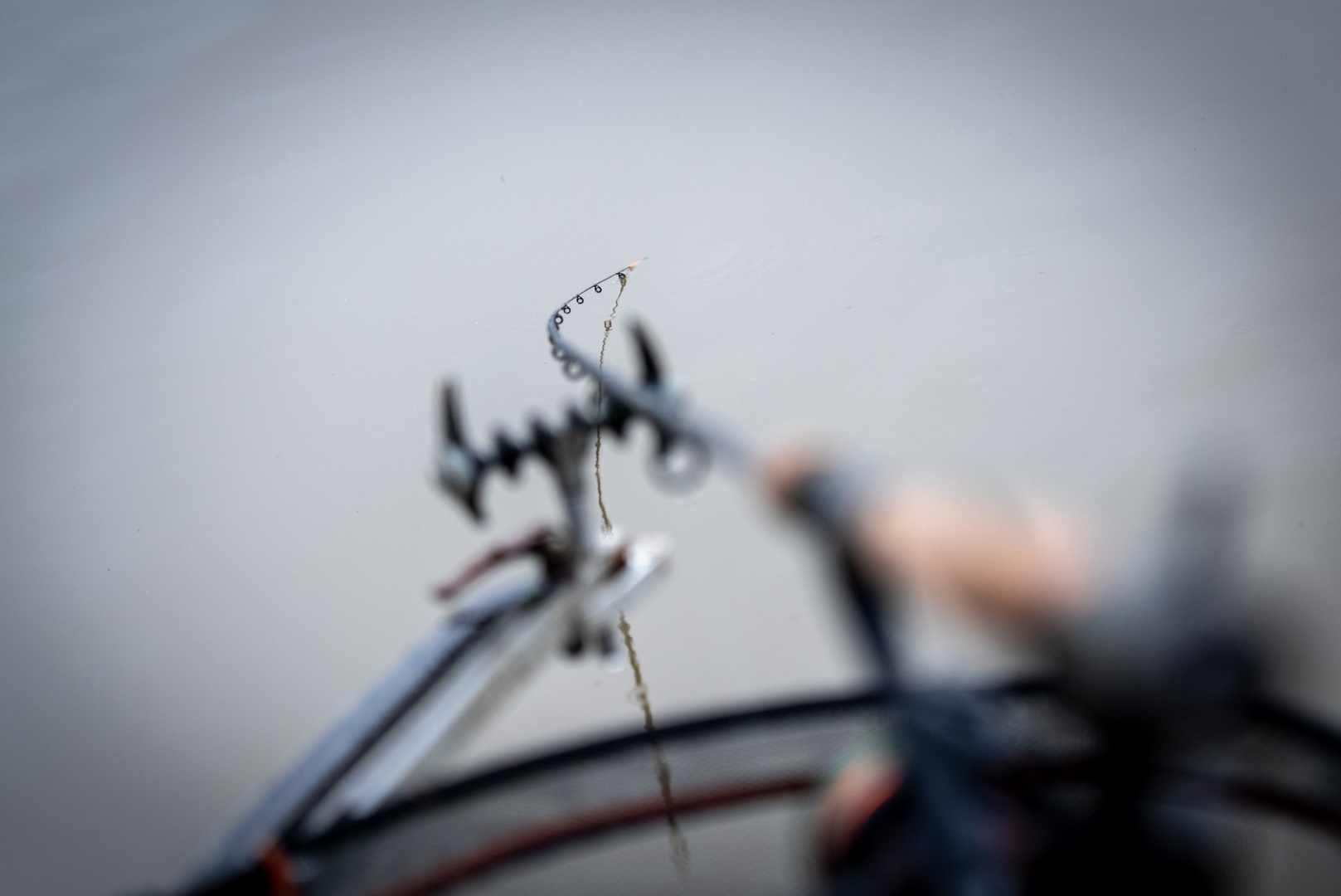 GURU Aventus R Feeder 10 ft / 60 g