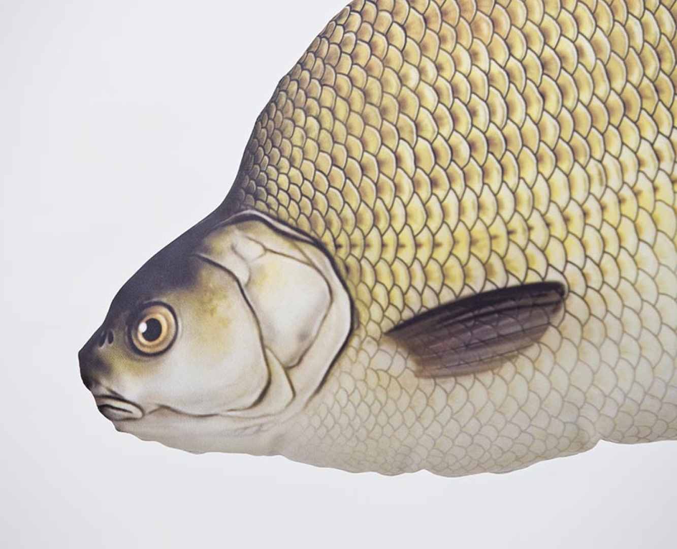 GABY - Pliušinis Karšis (Vidutinis 65 cm)