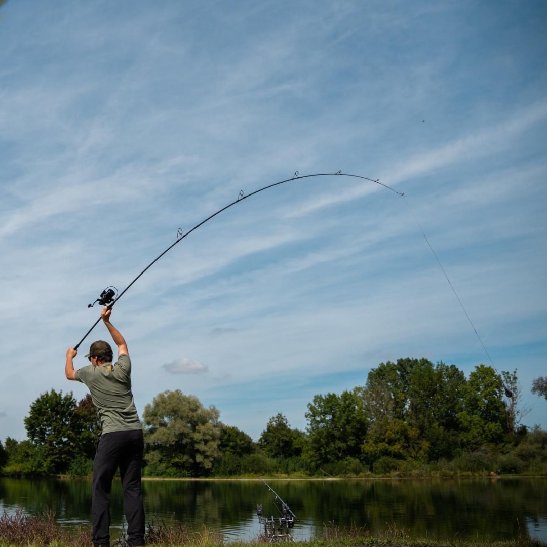 Sportex Revolt CS-2 Carp Rod 