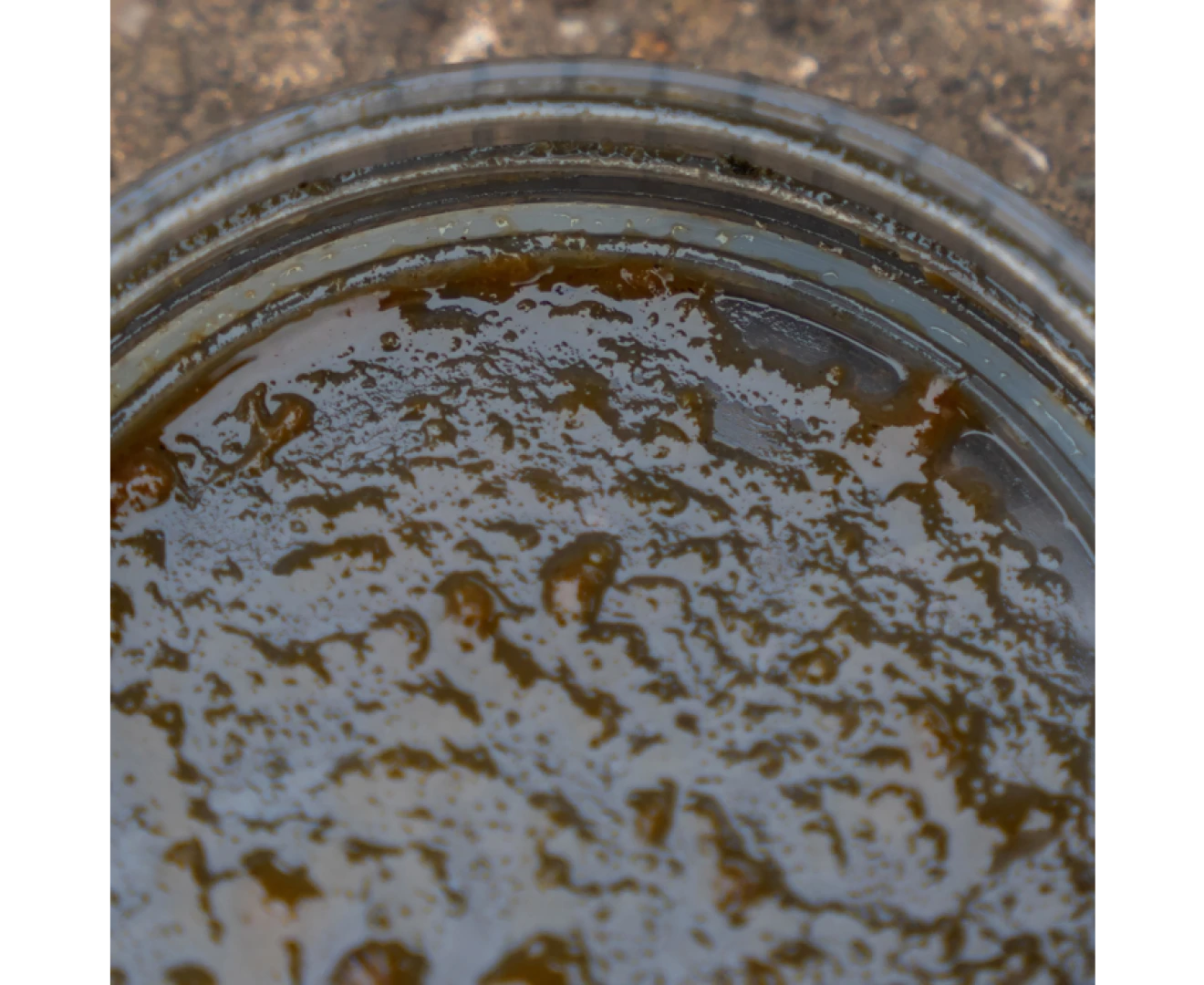 Avid Carp Large Hookbait Pots 
