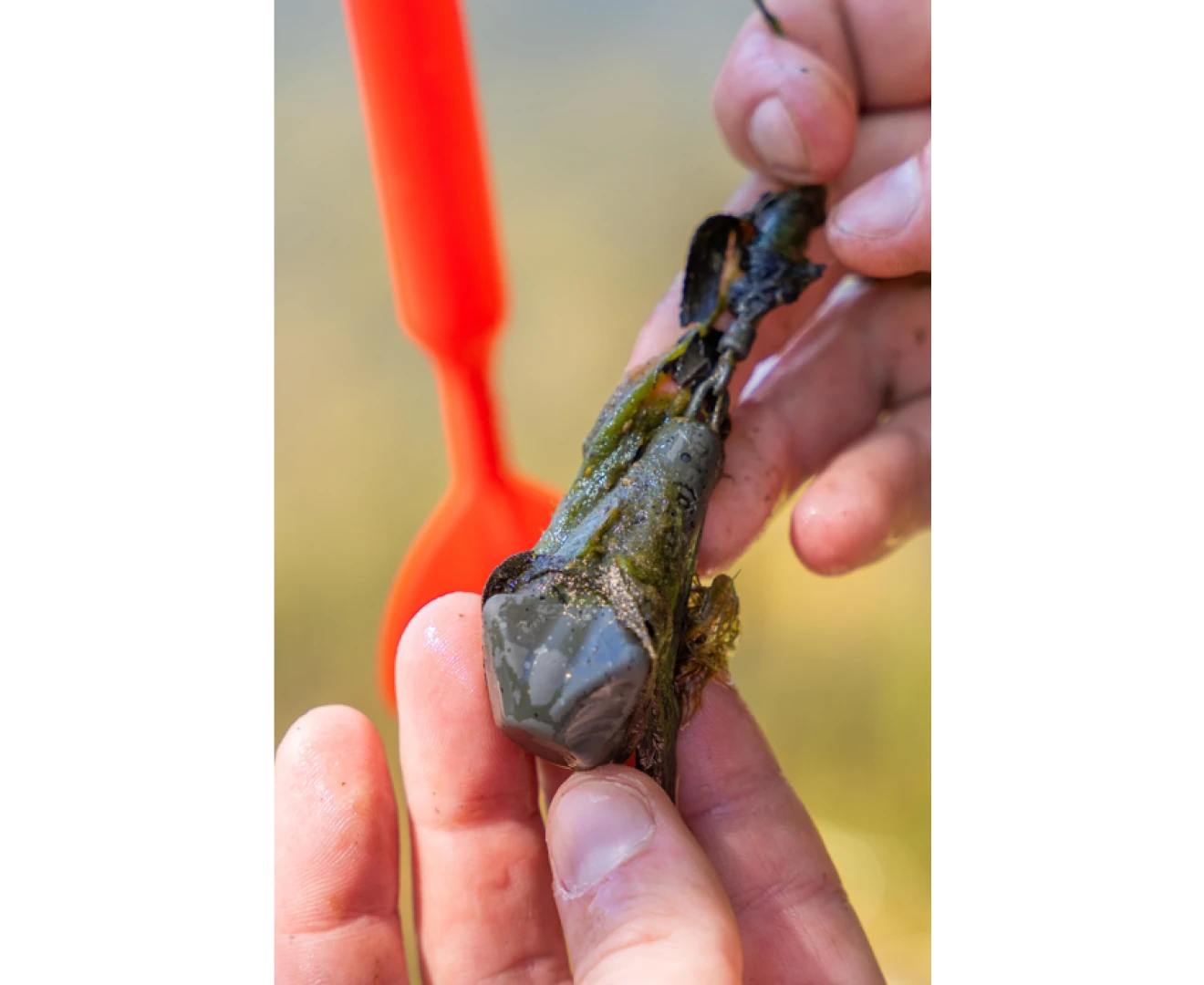Avid Carp Extremity Marker Leads