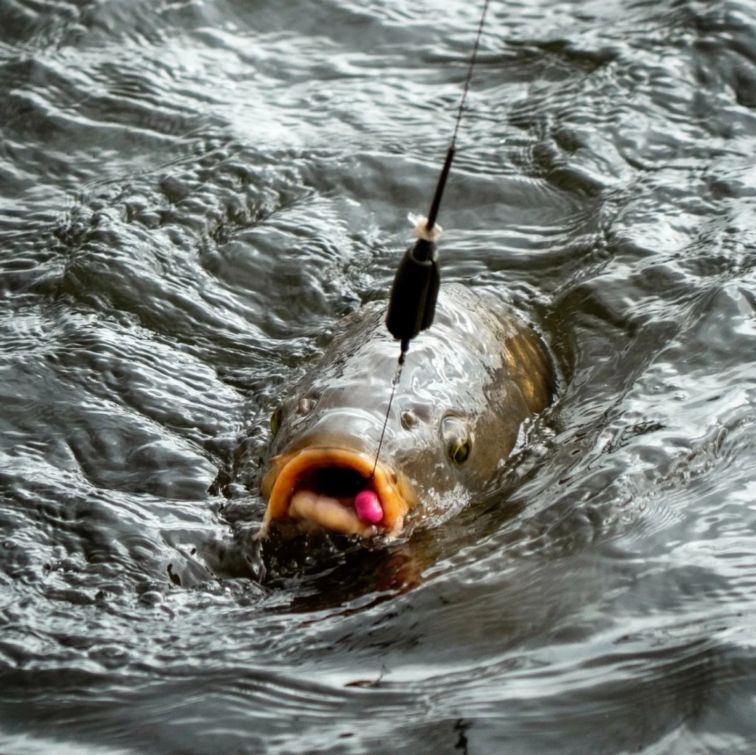 One More Cast Magic Wand Inline System