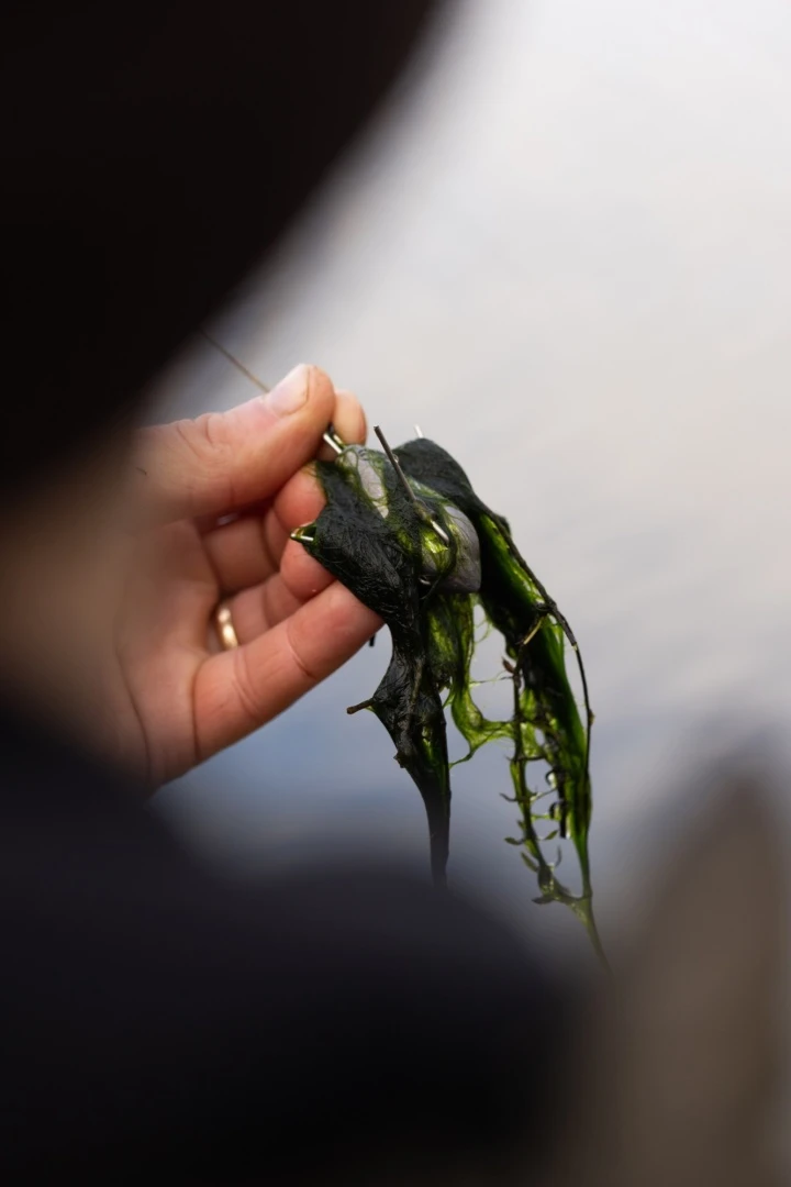 Korda Grapple Lead
