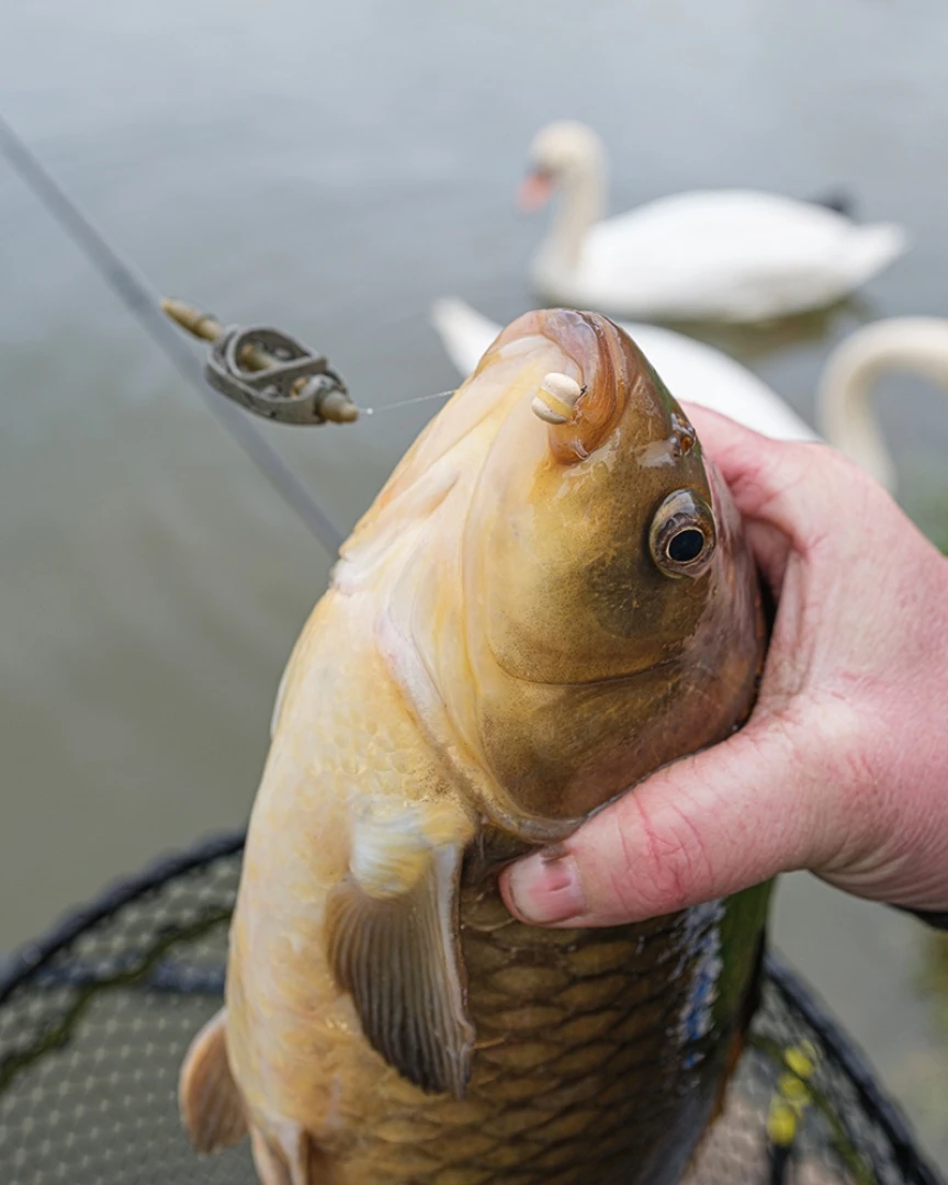 Matrix Method Feeders - XSmall 