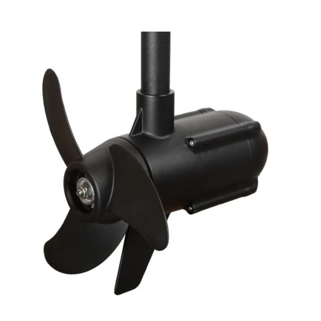 Haswing PROTRUAR 1.0 PRO Slim 66 - Motor Eléctrico