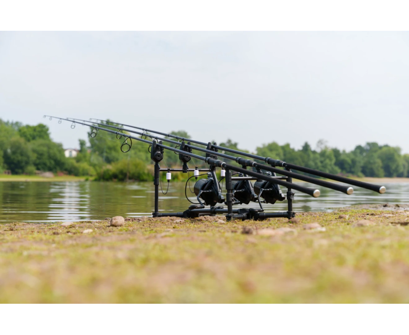 Avid Carp Extremity Ultra-Series Rod 12ft / 4lb