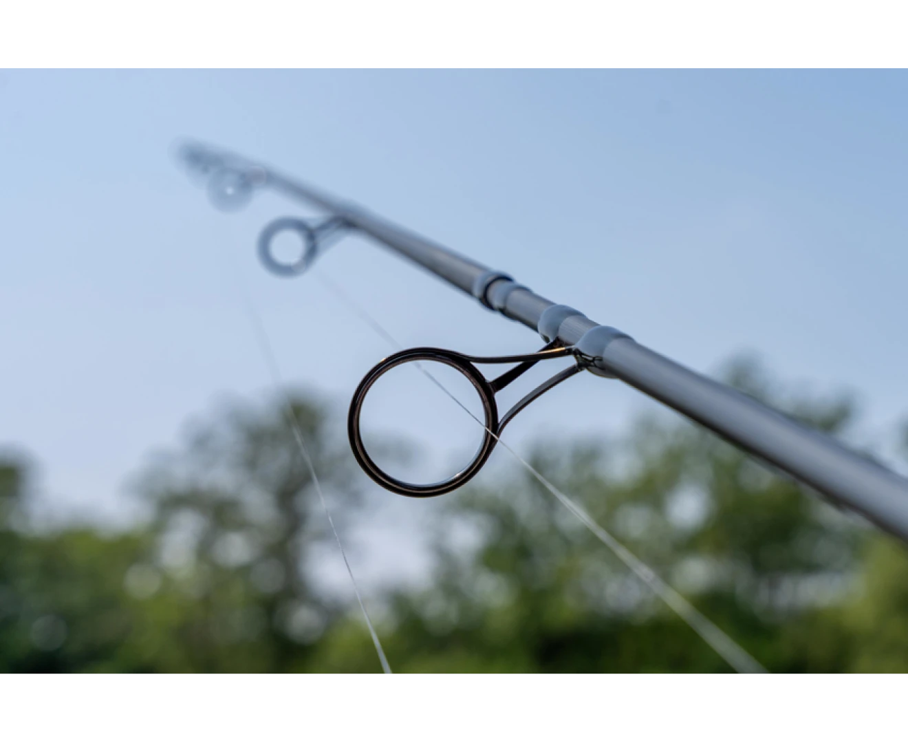 Avid Carp Ascent Rods 10ft / 3lb