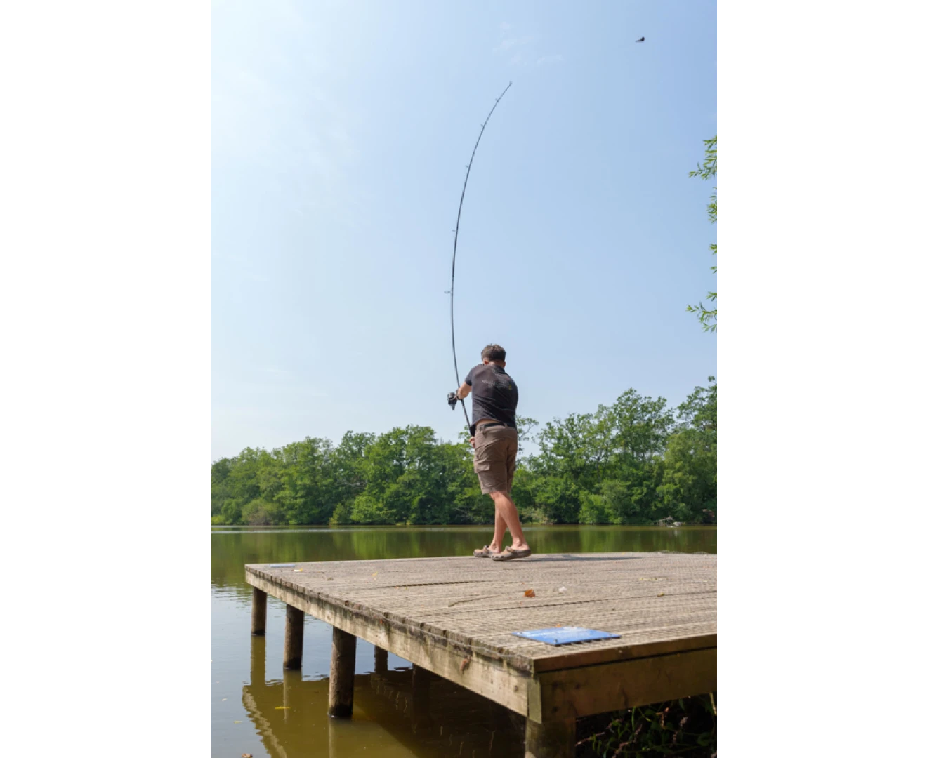 Avid Carp Ascent Rods 10ft / 3lb