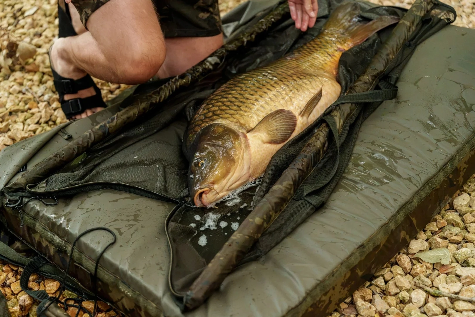 Nash Carp Care Retainer Sling Camo 100 cm (Standard)