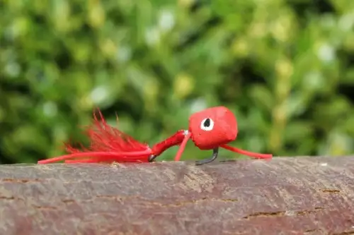 Nash Zig Bugs Actions Bugs
