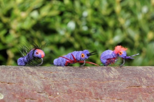 Nash Zig Bugs Purple Bugs