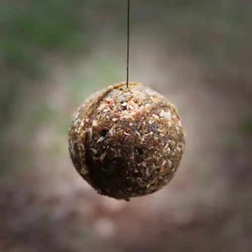Nash Deliverance Ball Maker