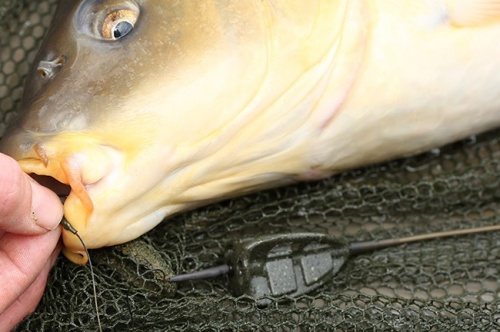 Korda Bait Up Method Feeder